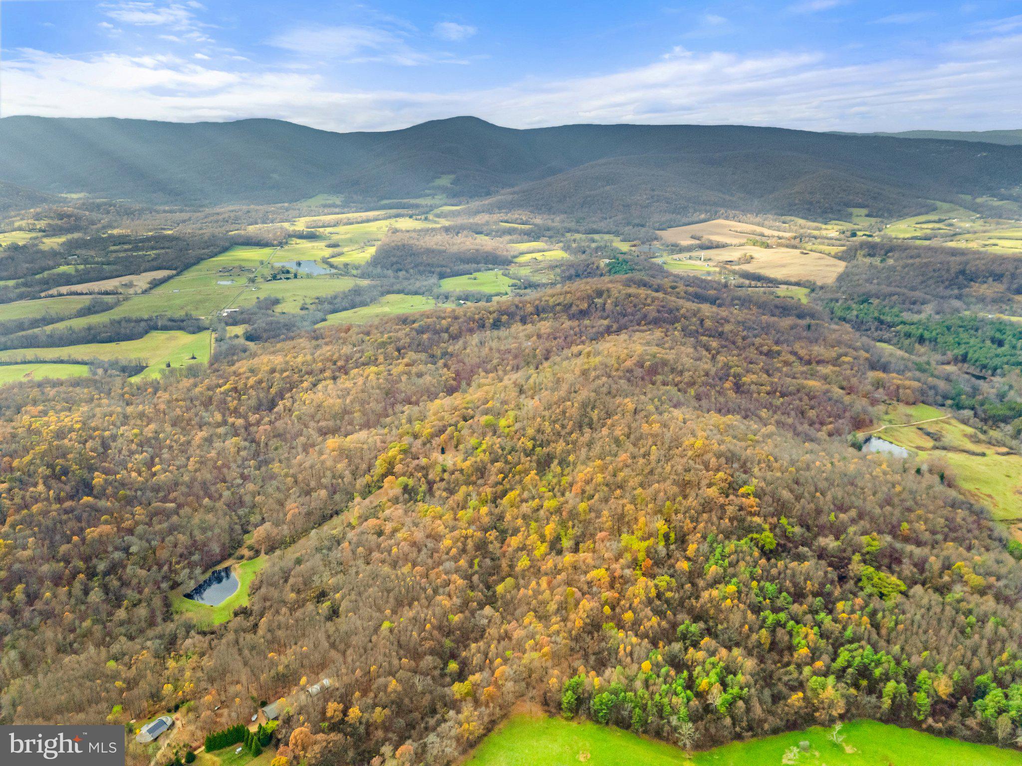 Took Crowell Lane Huntly, VA 22640 - Photo 12 of 15