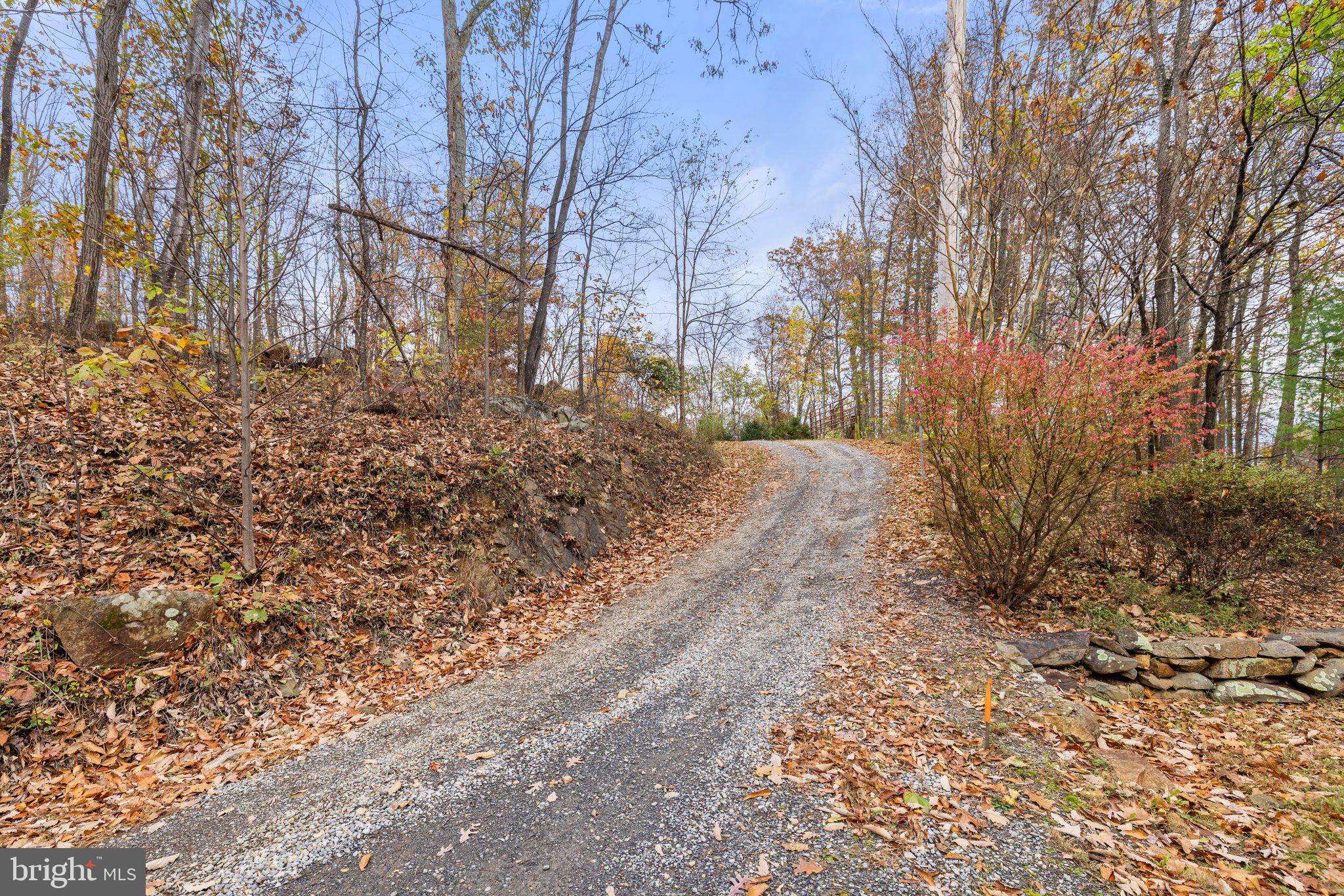 Took Crowell Lane Huntly, VA 22640 - Photo 2 of 15 Gravel driveway to enter the property