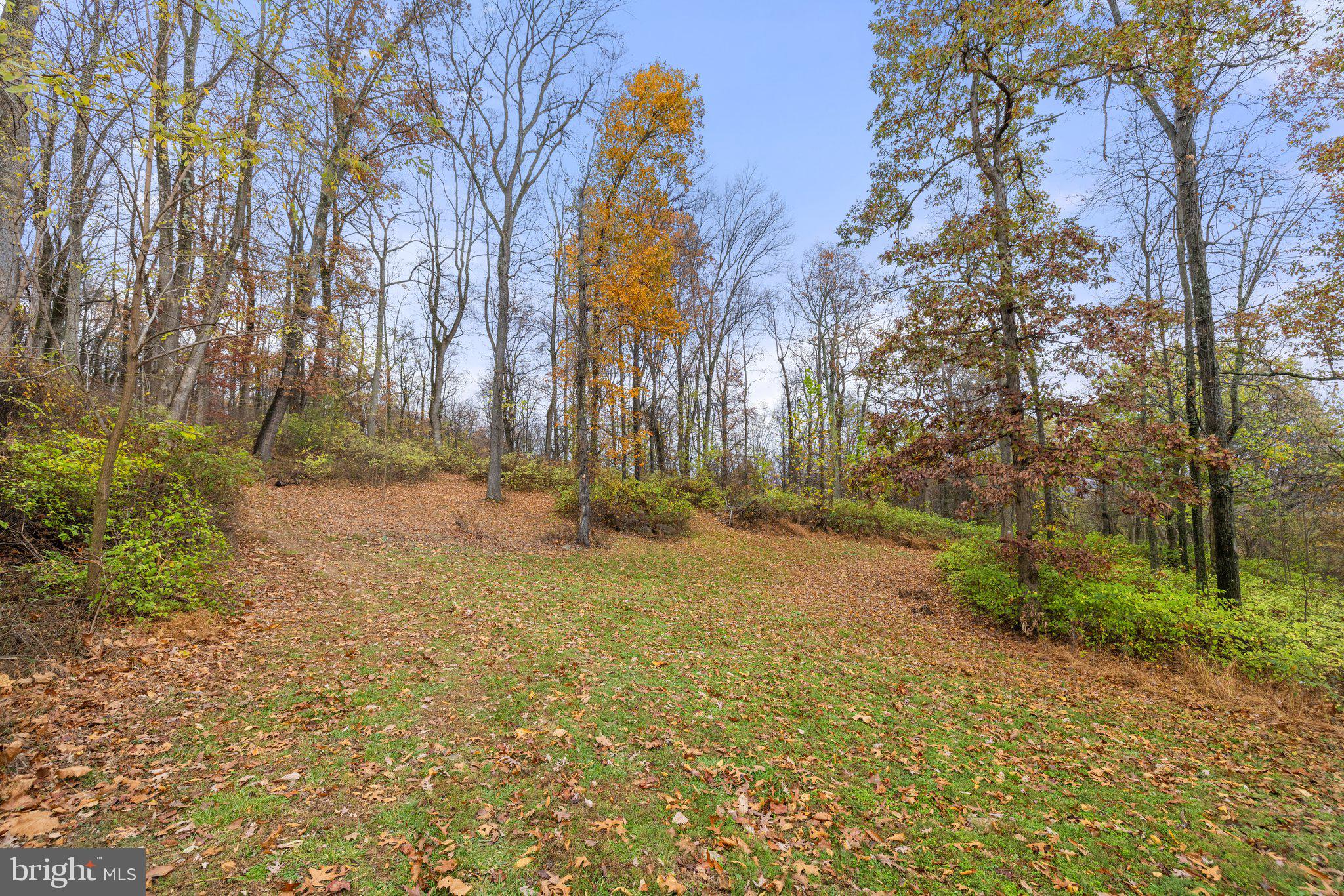 Took Crowell Lane Huntly, VA 22640 - Photo 4 of 15