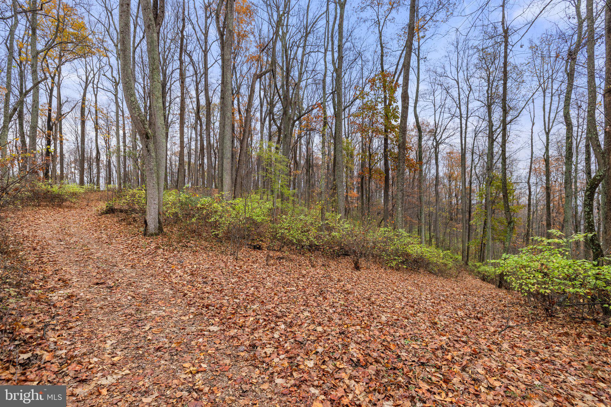 Took Crowell Lane Huntly, VA 22640 - Photo 5 of 15