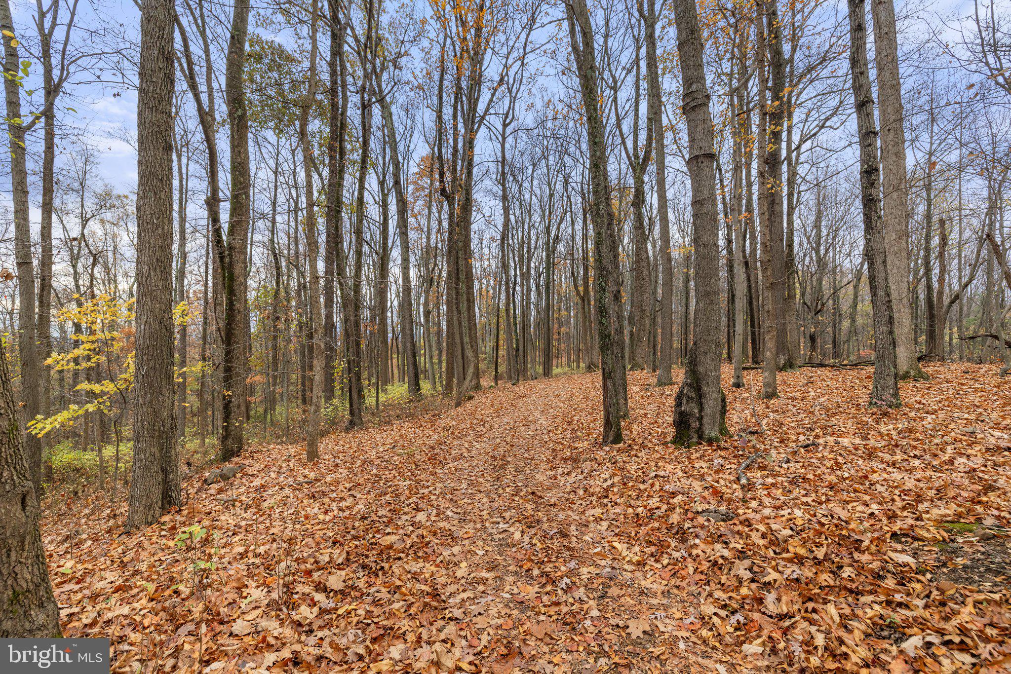 Took Crowell Lane Huntly, VA 22640 - Photo 8 of 15