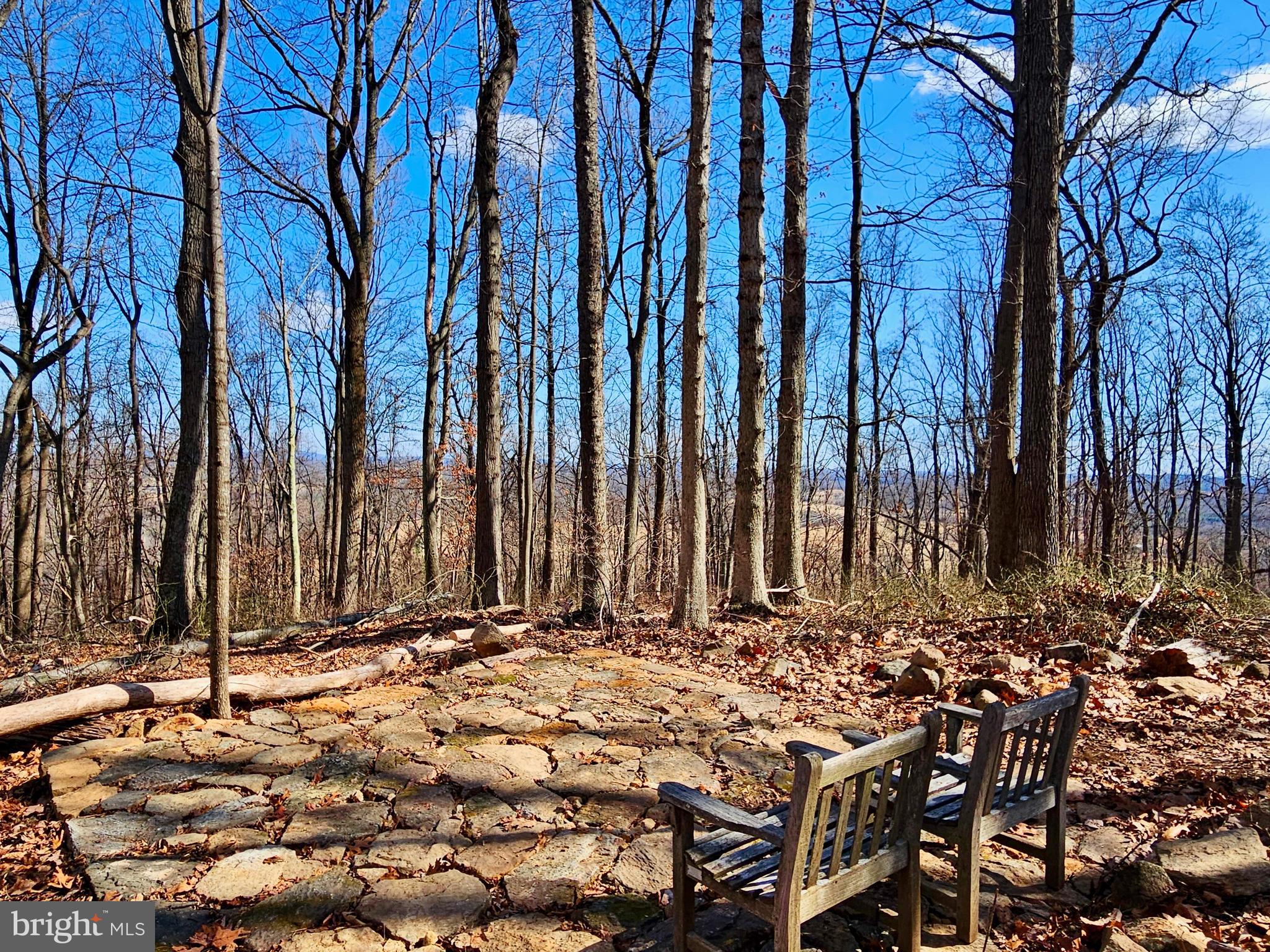 Took Crowell Lane Huntly, VA 22640 - Photo 9 of 15 Imagine relaxing here!