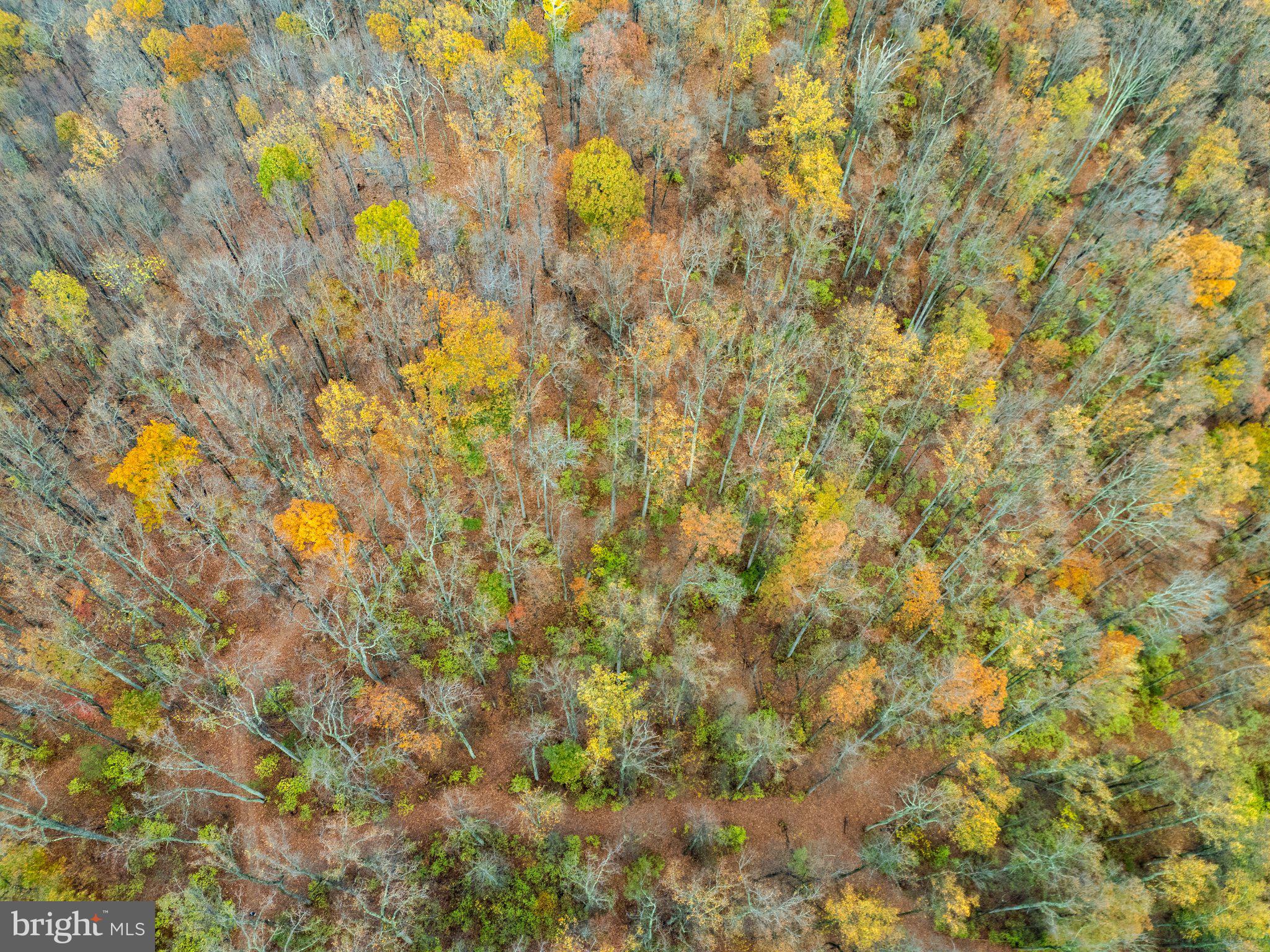 Took Crowell Lane Huntly, VA 22640 - Photo 10 of 15