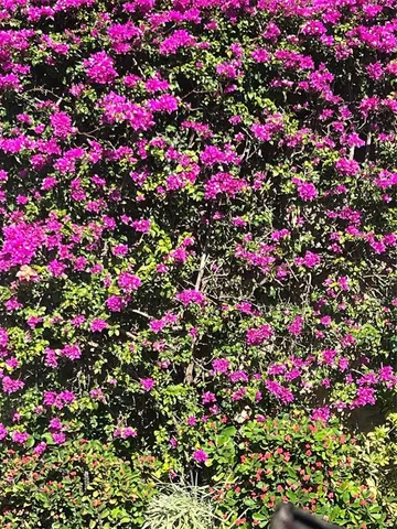 $164,000 | 4801 Northwest 34th Street, Unit 616, Lauderdale Lakes, FL 33319