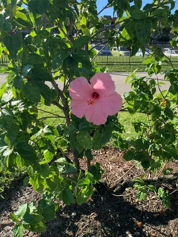 $164,000 | 4801 Northwest 34th Street, Unit 616, Lauderdale Lakes, FL 33319