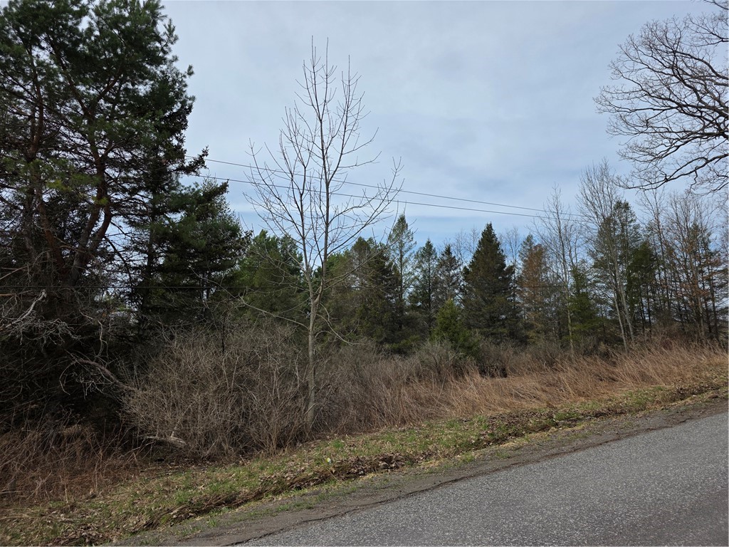 Dingman Hill Road Bainbridge, NY 13733 - Photo 18 of 21