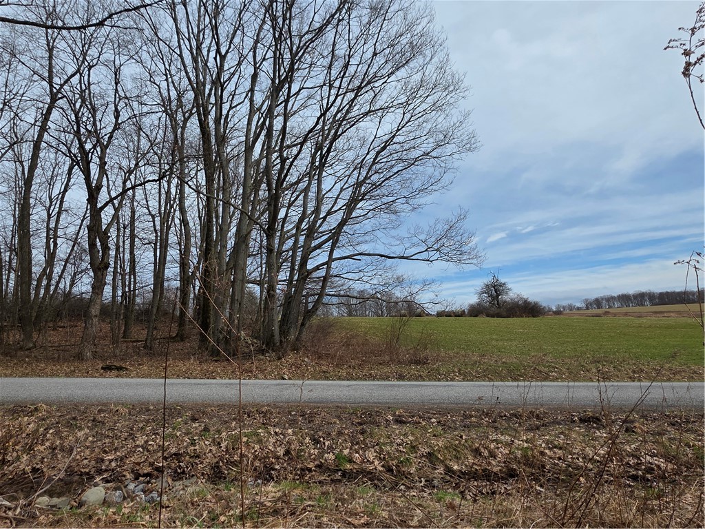 Dingman Hill Road Bainbridge, NY 13733 - Photo 19 of 21 View from property