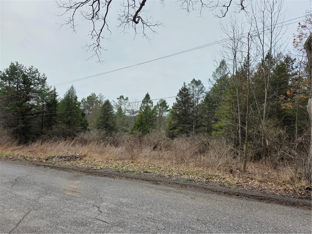 Dingman Hill Road Bainbridge, NY 13733 - Photo 4 of 21