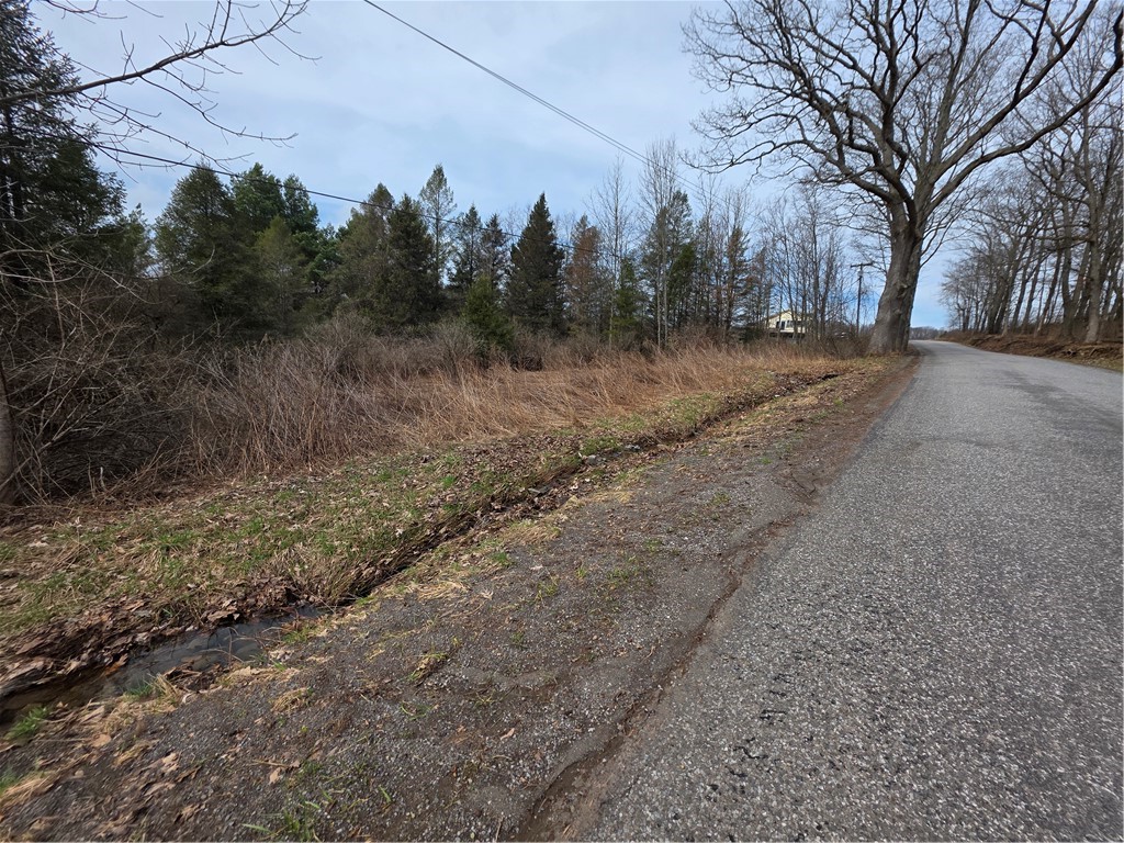 Dingman Hill Road Bainbridge, NY 13733 - Photo 5 of 21