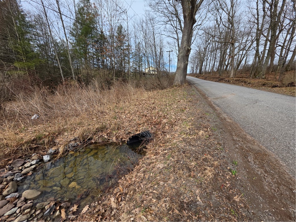 Dingman Hill Road Bainbridge, NY 13733 - Photo 6 of 21