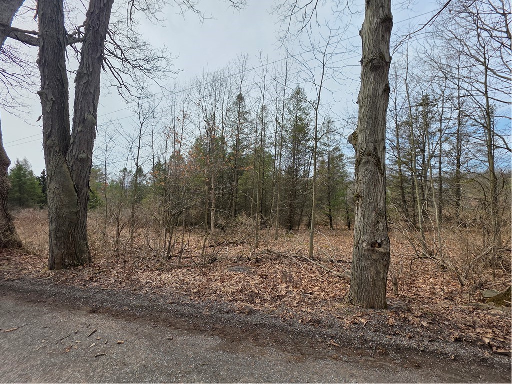 Dingman Hill Road Bainbridge, NY 13733 - Photo 7 of 21