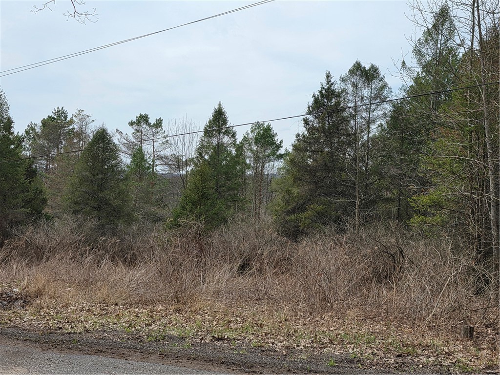 Dingman Hill Road Bainbridge, NY 13733 - Photo 8 of 21