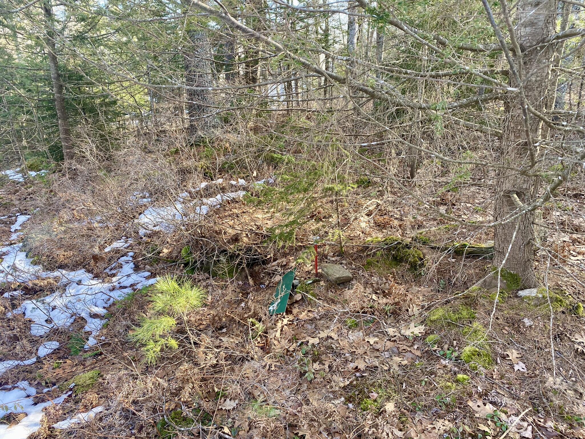 Lot 7-4 Bowman's Landing Road Georgetown, ME 04548 - Photo 24 of 34 IMG_0905