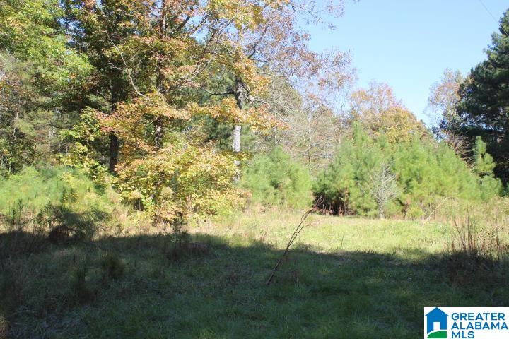 180 Springwater Lane Columbiana, AL 35051 - Photo 2 of 5