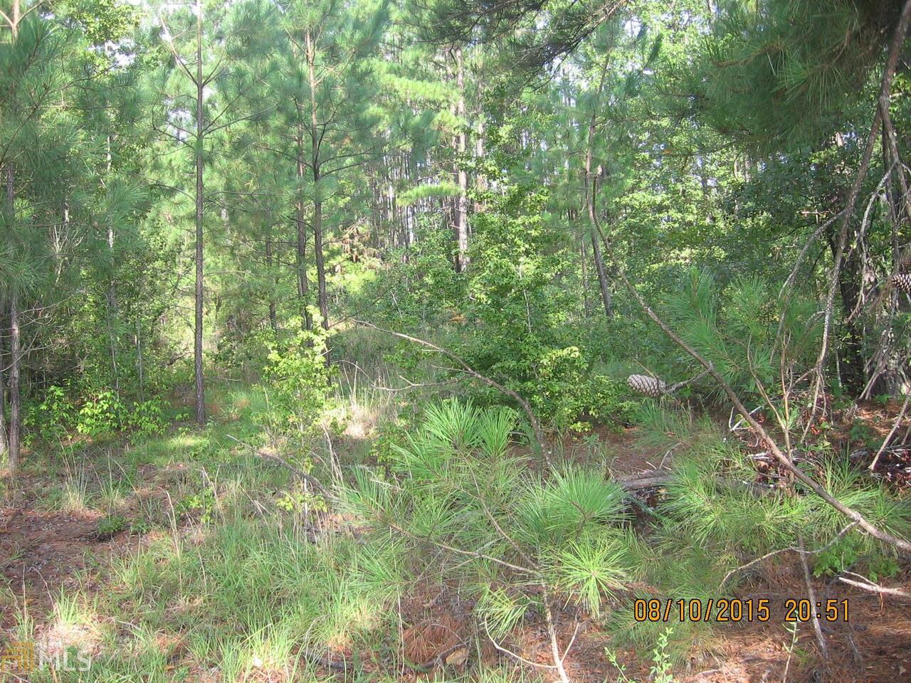 0 Rocky Creek Road Harrison, GA 31035 - Photo 1 of 1 entrance way