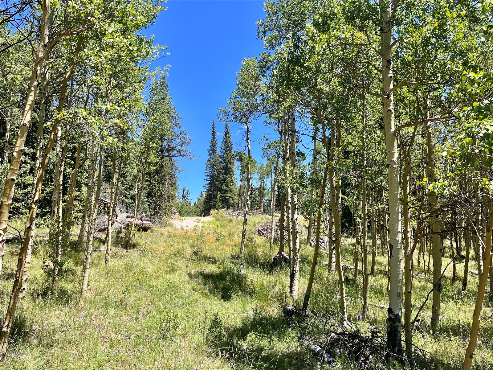 845 Adventure Road Alma, CO 80420 - Photo 15 of 31 Gallery Image 15