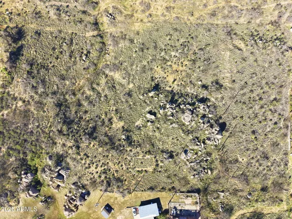 a view of a yard