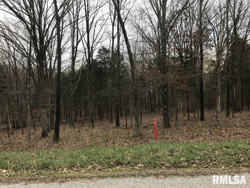 Lot 160 Parrish Ridge Goreville, IL 62939 - Photo 3 of 9 Gallery Image 3