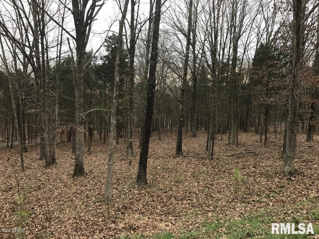 Lot 160 Parrish Ridge Goreville, IL 62939 - Photo 6 of 9 Gallery Image 6