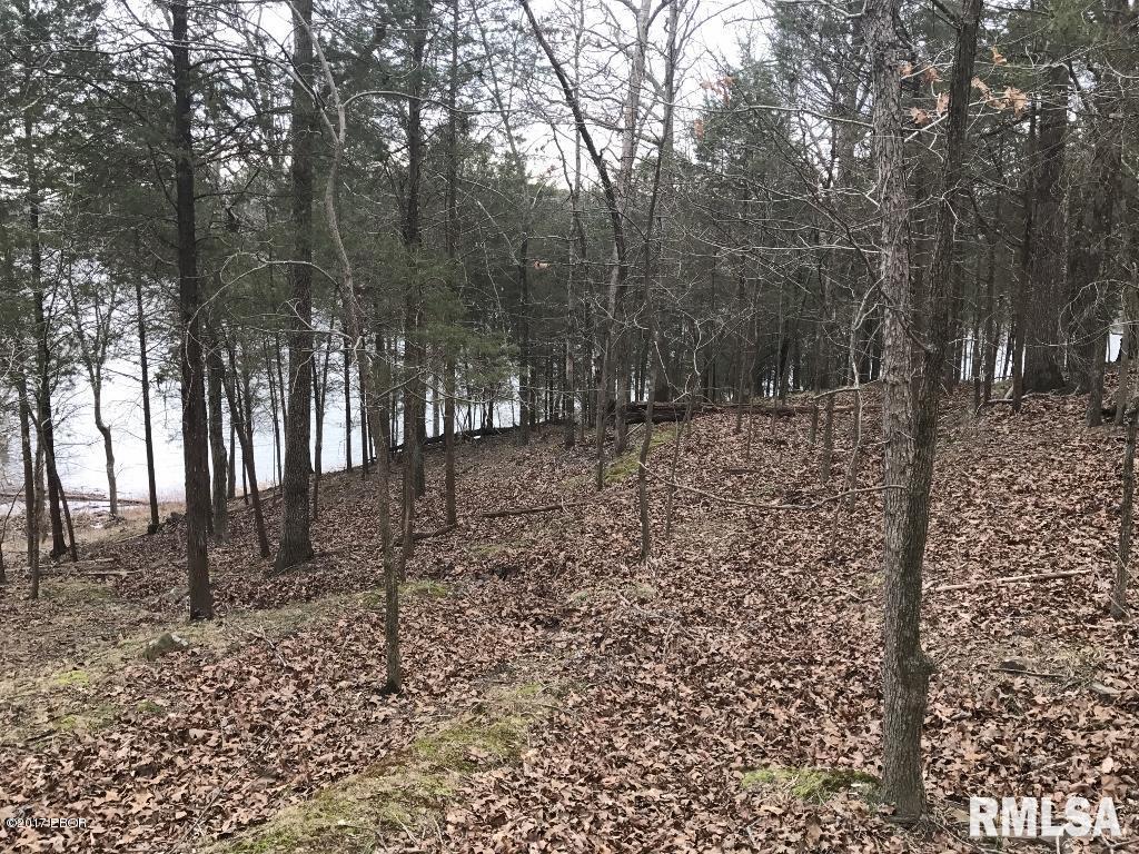Lot 160 Parrish Ridge Goreville, IL 62939 - Photo 8 of 9 Gallery Image 8