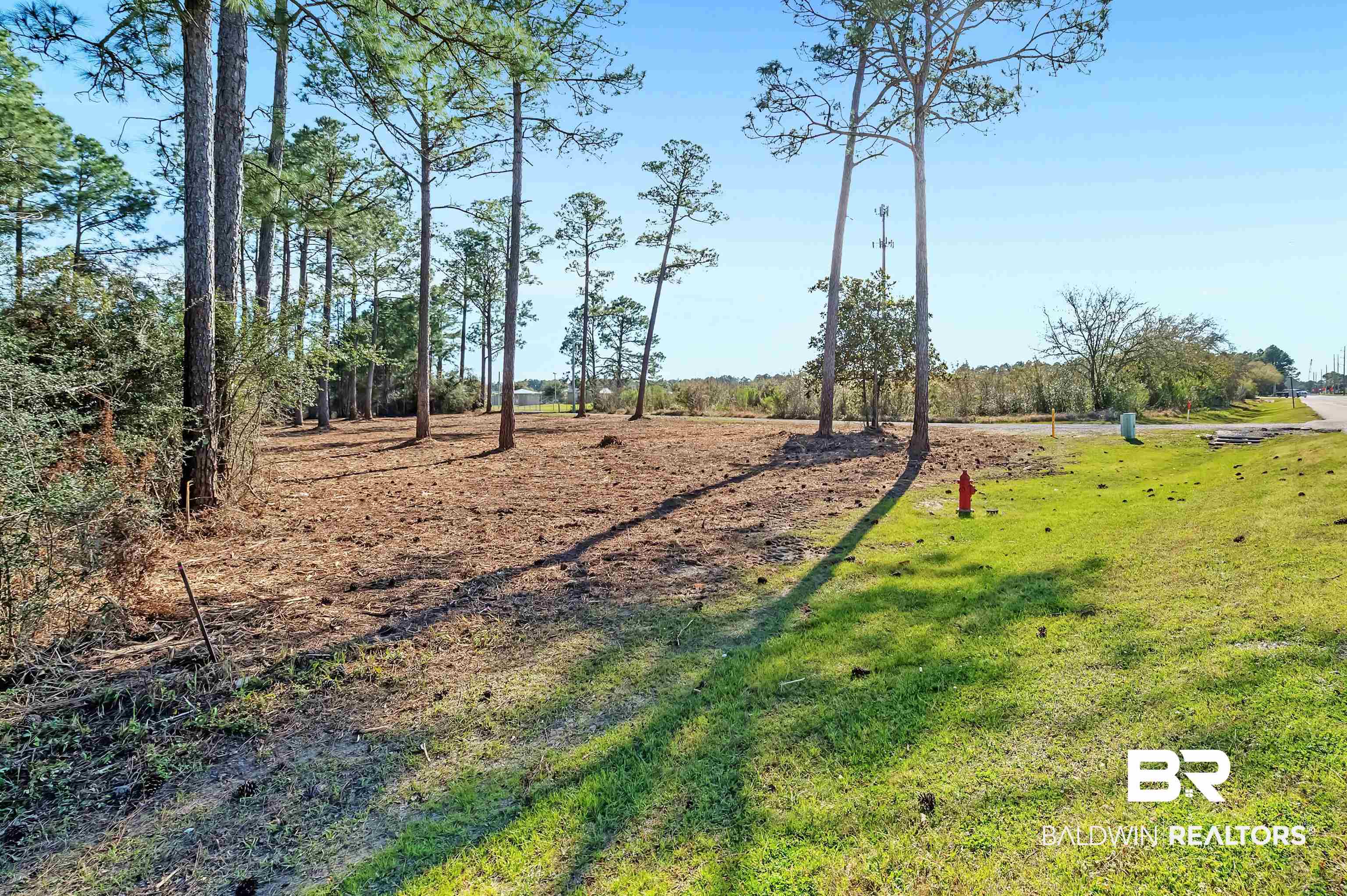 0 Canal Road Orange Beach, AL 36561 - Photo 8 of 25 View of yard