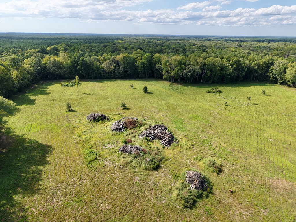 1-8 Gray Farm Road, Unit 18 Temperanceville, VA 23442 - Photo 8 of 28