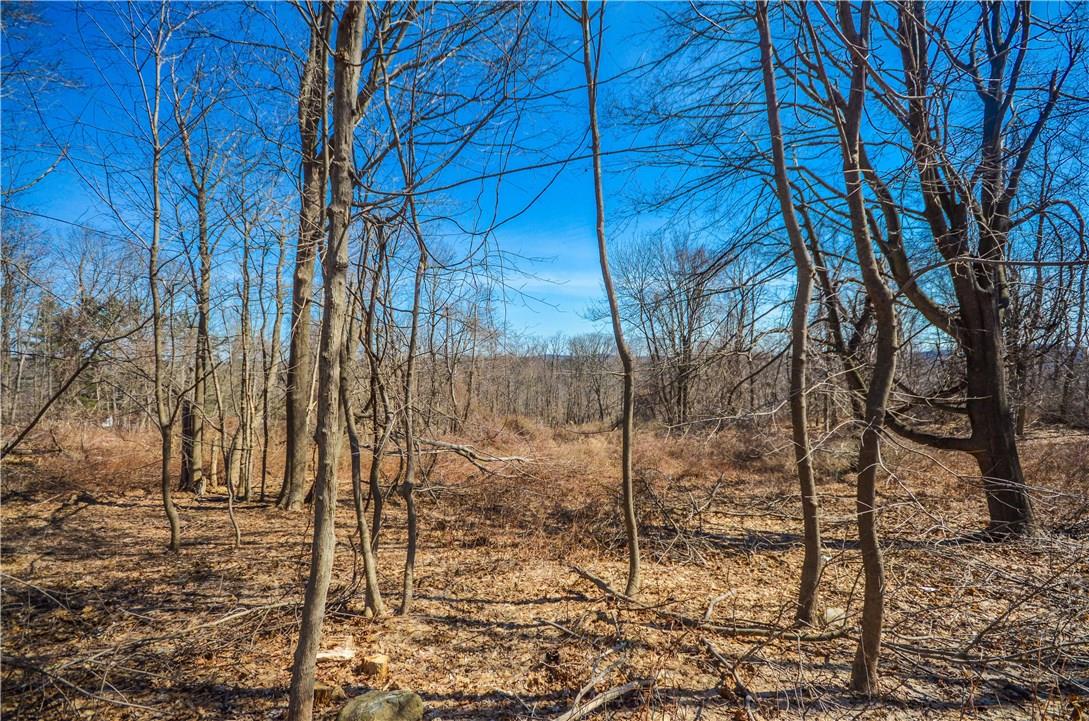 620 Sleepy Hollow Road Briarcliff Manor, NY 10510 - Photo 2 of 10 a view of a yard