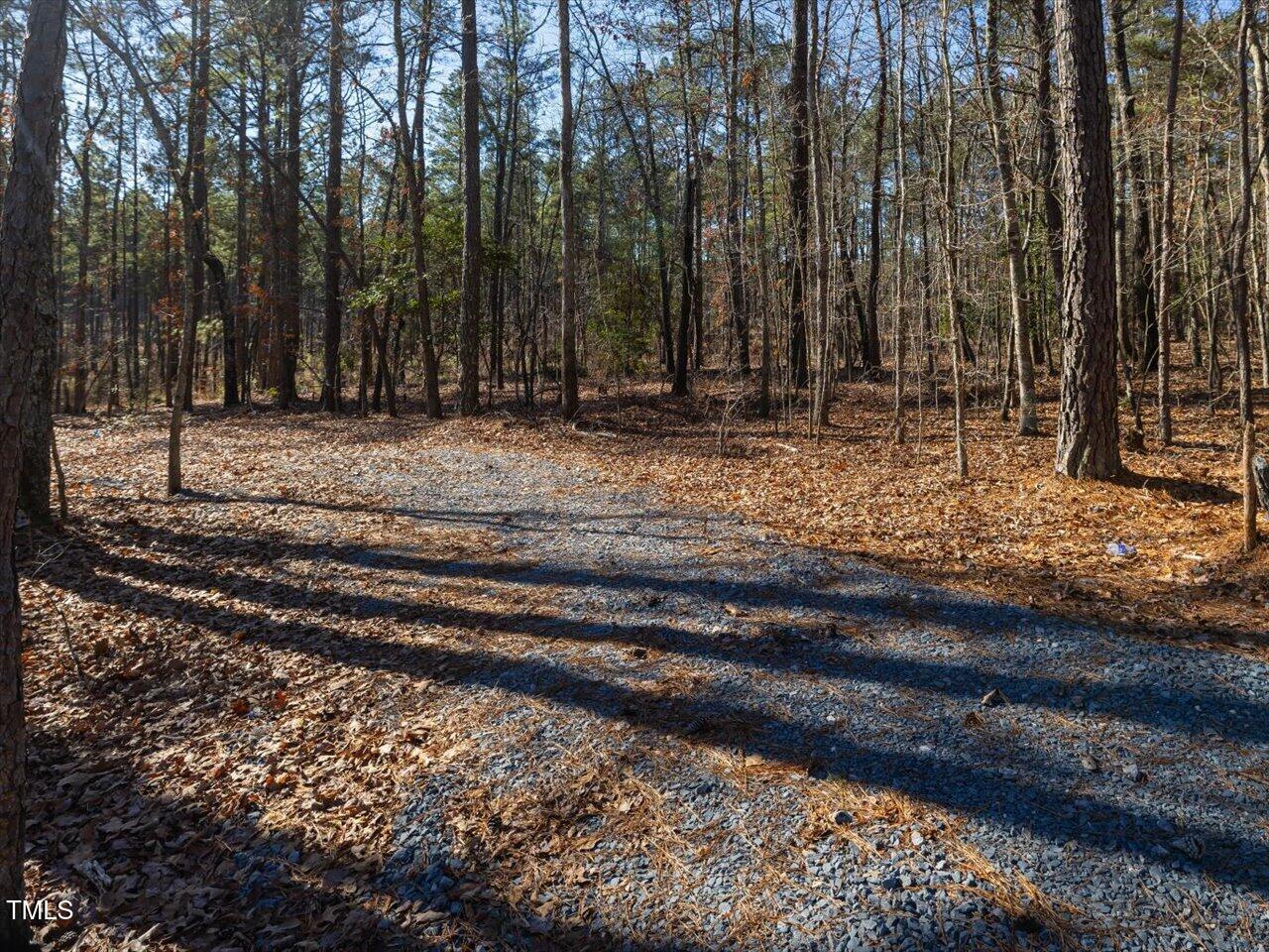 1 Robedo Road Mount Gilead, NC 27306 - Photo 13 of 22 19-019-Tract1-RobedoRd-MontgomeryCounty-