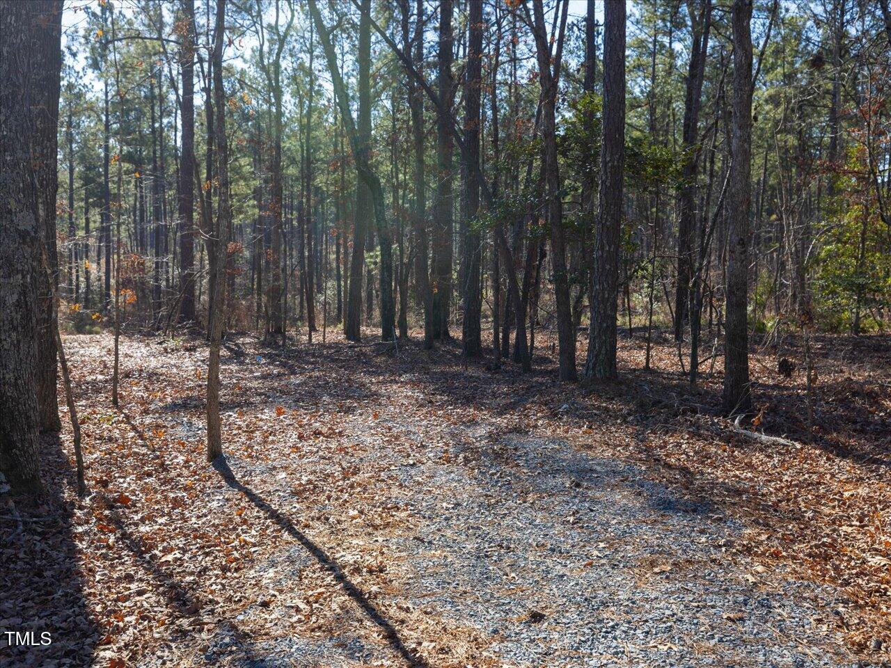 1 Robedo Road Mount Gilead, NC 27306 - Photo 14 of 22 20-020-Tract1-RobedoRd-MontgomeryCounty-