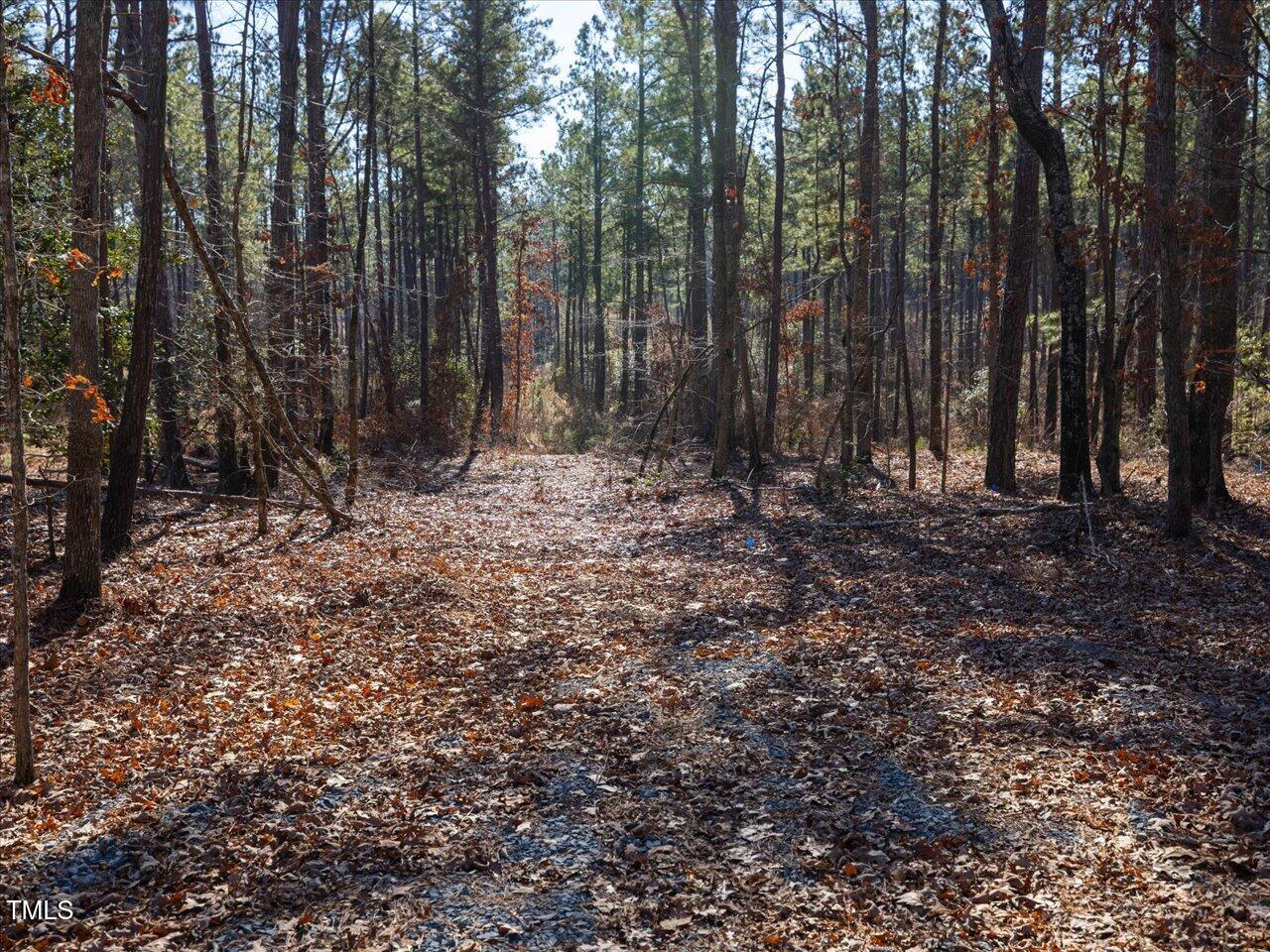 1 Robedo Road Mount Gilead, NC 27306 - Photo 15 of 22 21-021-Tract1-RobedoRd-MontgomeryCounty-