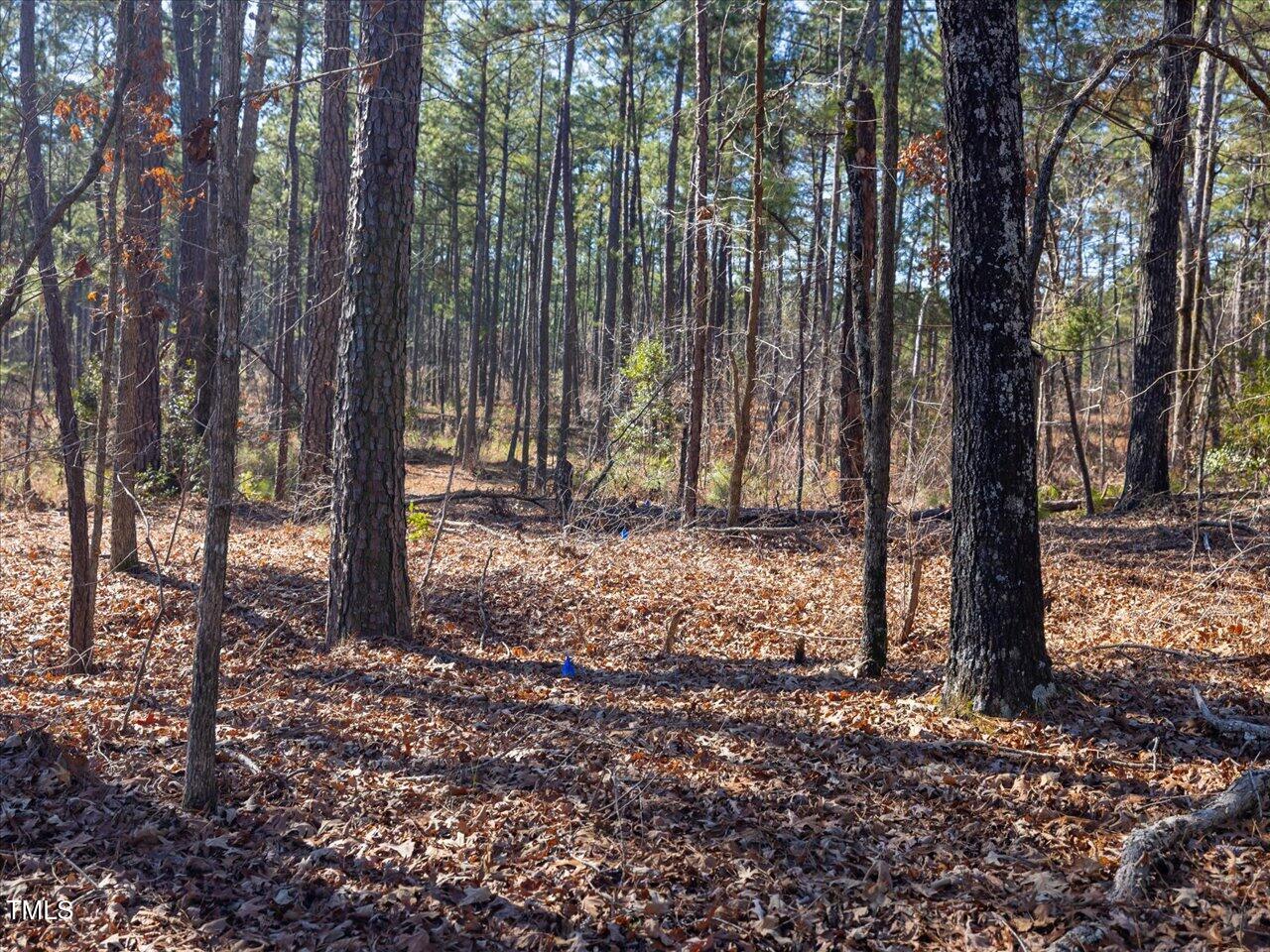 1 Robedo Road Mount Gilead, NC 27306 - Photo 16 of 22 23-023-Tract1-RobedoRd-MontgomeryCounty-