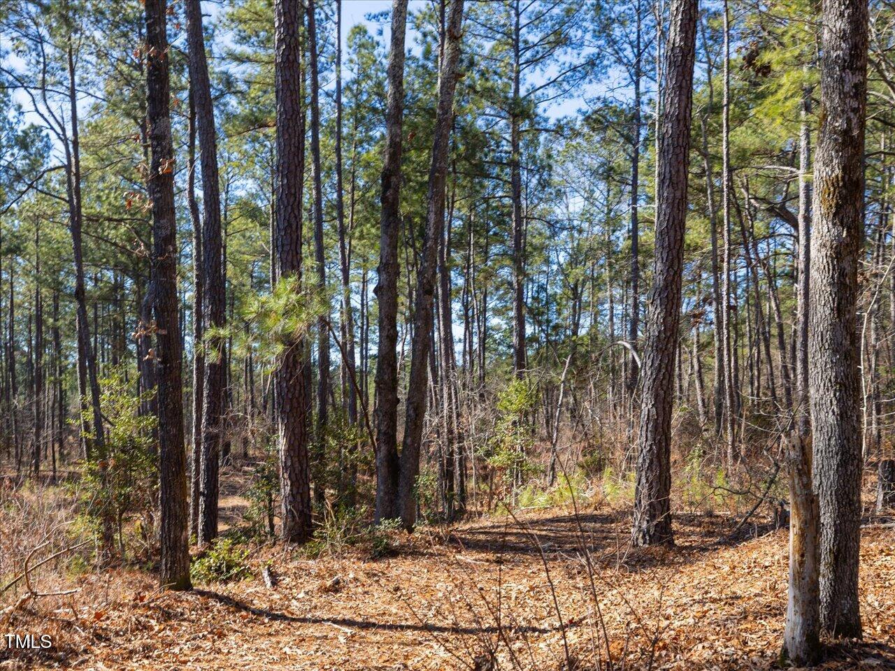 1 Robedo Road Mount Gilead, NC 27306 - Photo 17 of 22 24-024-Tract1-RobedoRd-MontgomeryCounty-