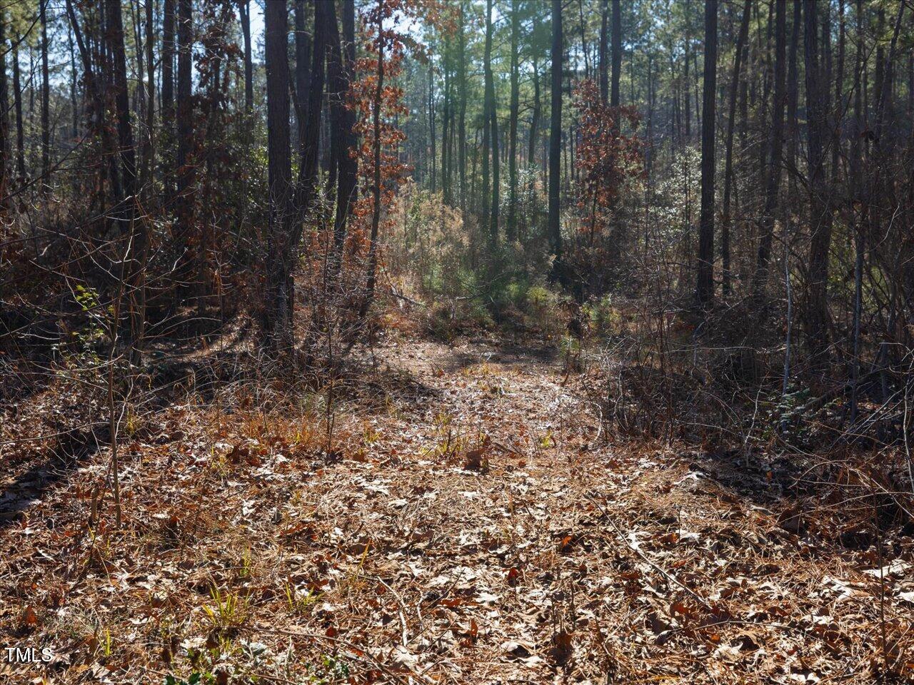 1 Robedo Road Mount Gilead, NC 27306 - Photo 18 of 22 25-025-Tract1-RobedoRd-MontgomeryCounty-
