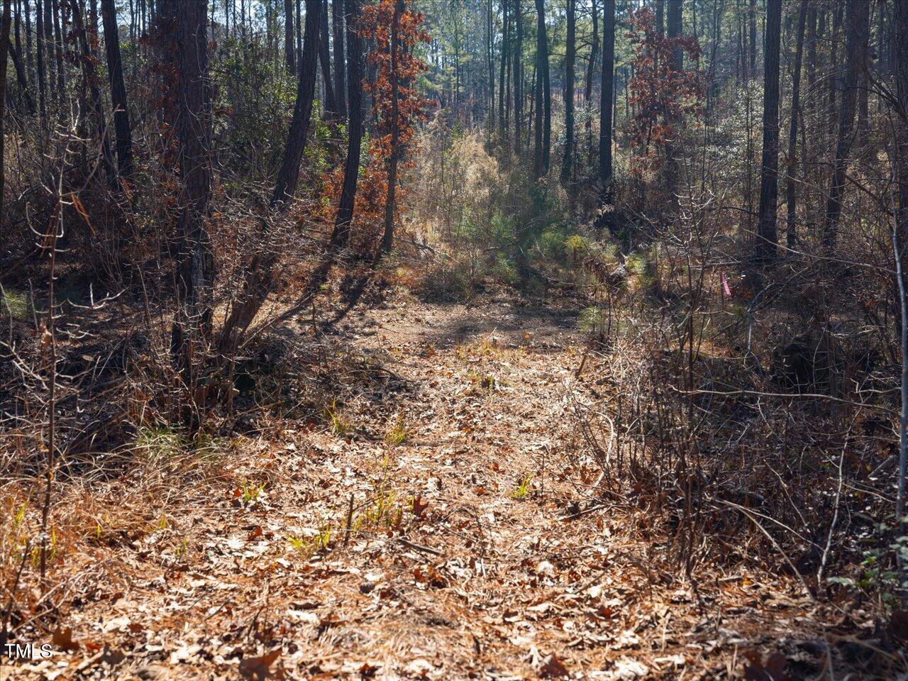 1 Robedo Road Mount Gilead, NC 27306 - Photo 19 of 22 26-026-Tract1-RobedoRd-MontgomeryCounty-