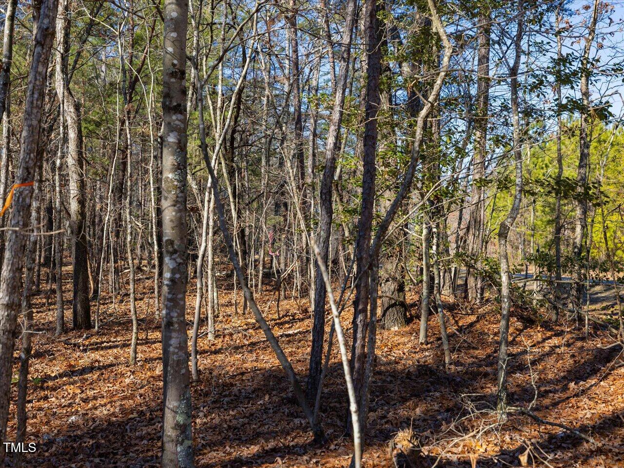 1 Robedo Road Mount Gilead, NC 27306 - Photo 20 of 22 27-027-Tract1-RobedoRd-MontgomeryCounty-
