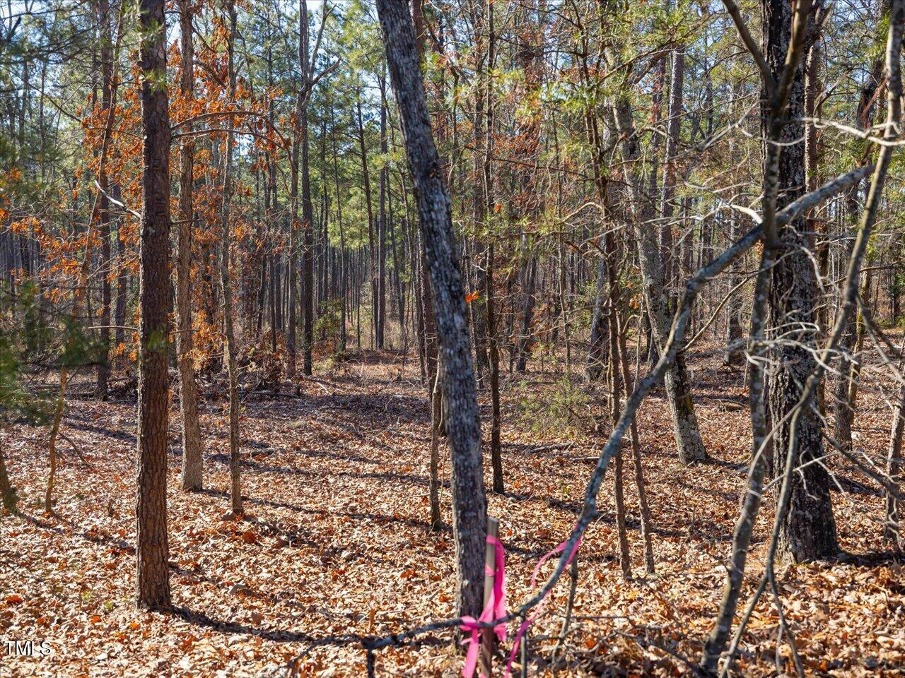 1 Robedo Road Mount Gilead, NC 27306 - Photo 21 of 22 29-029-Tract1-RobedoRd-MontgomeryCounty-