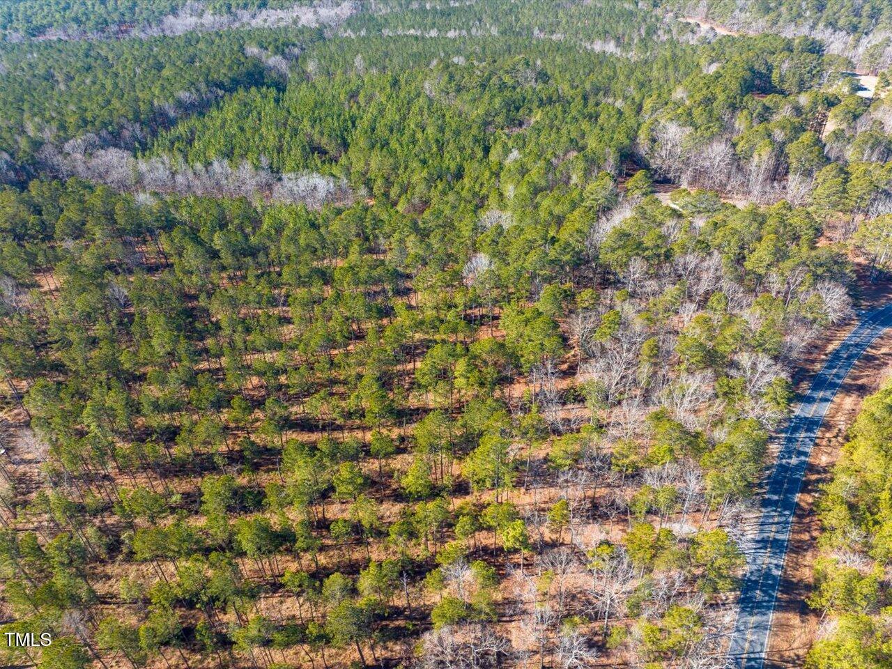 1 Robedo Road Mount Gilead, NC 27306 - Photo 4 of 22 06-006-Tract1-RobedoRd-MontgomeryCounty-