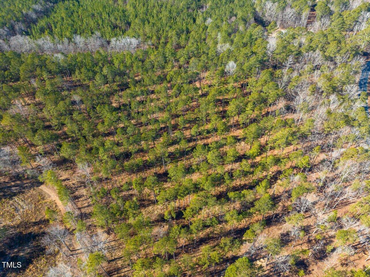 1 Robedo Road Mount Gilead, NC 27306 - Photo 5 of 22 07-007-Tract1-RobedoRd-MontgomeryCounty-