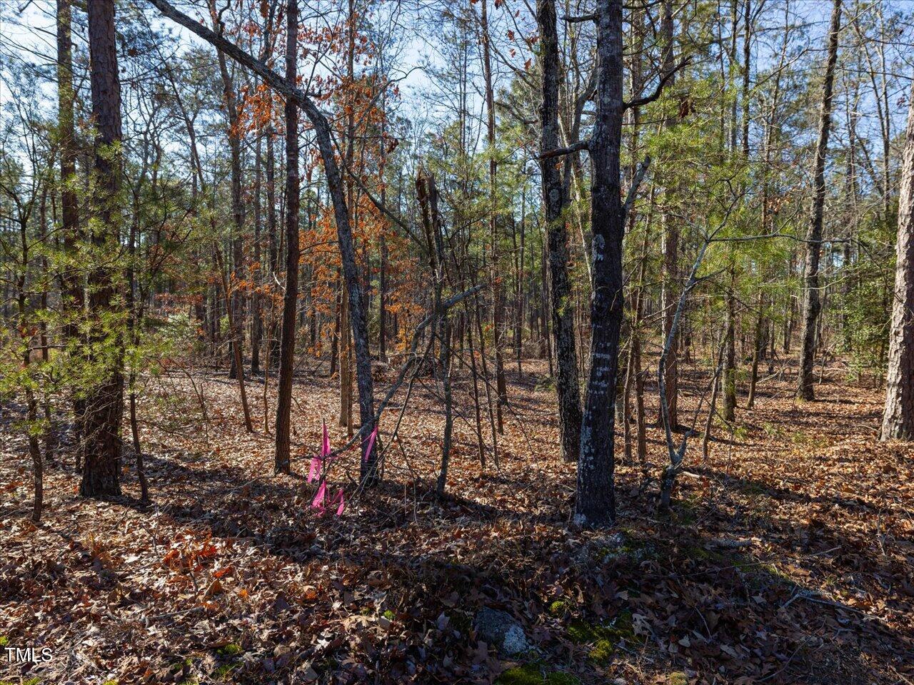 1 Robedo Road Mount Gilead, NC 27306 - Photo 9 of 22 15-015-Tract1-RobedoRd-MontgomeryCounty-