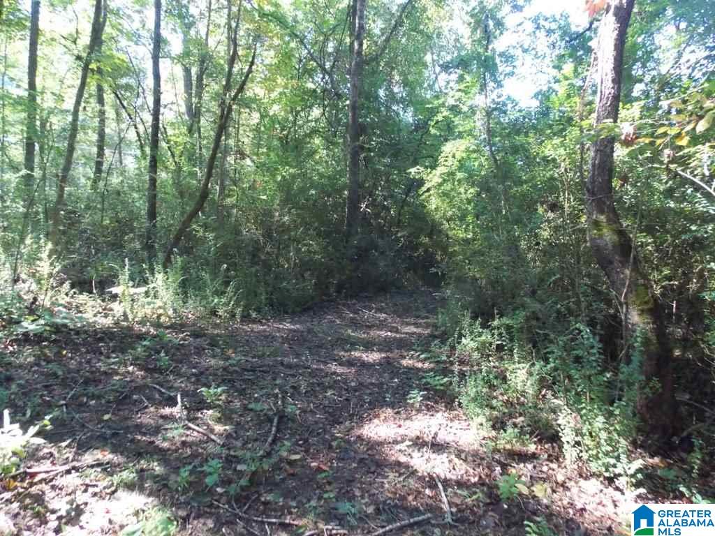 375 Marble Quarry Road, Unit 7 ACRES Talladega, AL 35160 - Photo 28 of 33