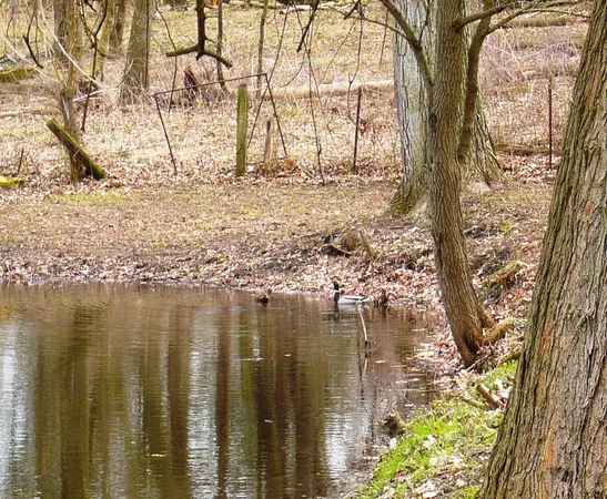 $224,900 | 273 Raymond Drive, Coldwater, MI 49036