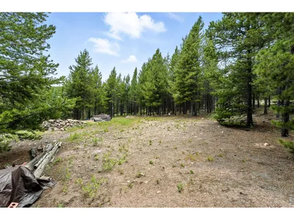 $90,000 | 754 Mescalero Drive, Red Feather Lakes, CO 80545