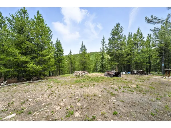 a view of a dry yard with trees
