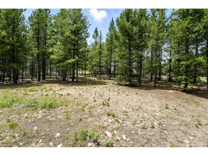 $90,000 | 754 Mescalero Drive, Red Feather Lakes, CO 80545