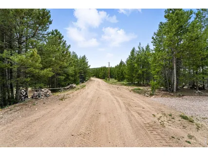 $90,000 | 754 Mescalero Drive, Red Feather Lakes, CO 80545