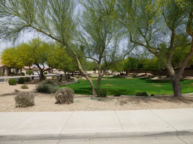a front view of a house with a yard and potted plants