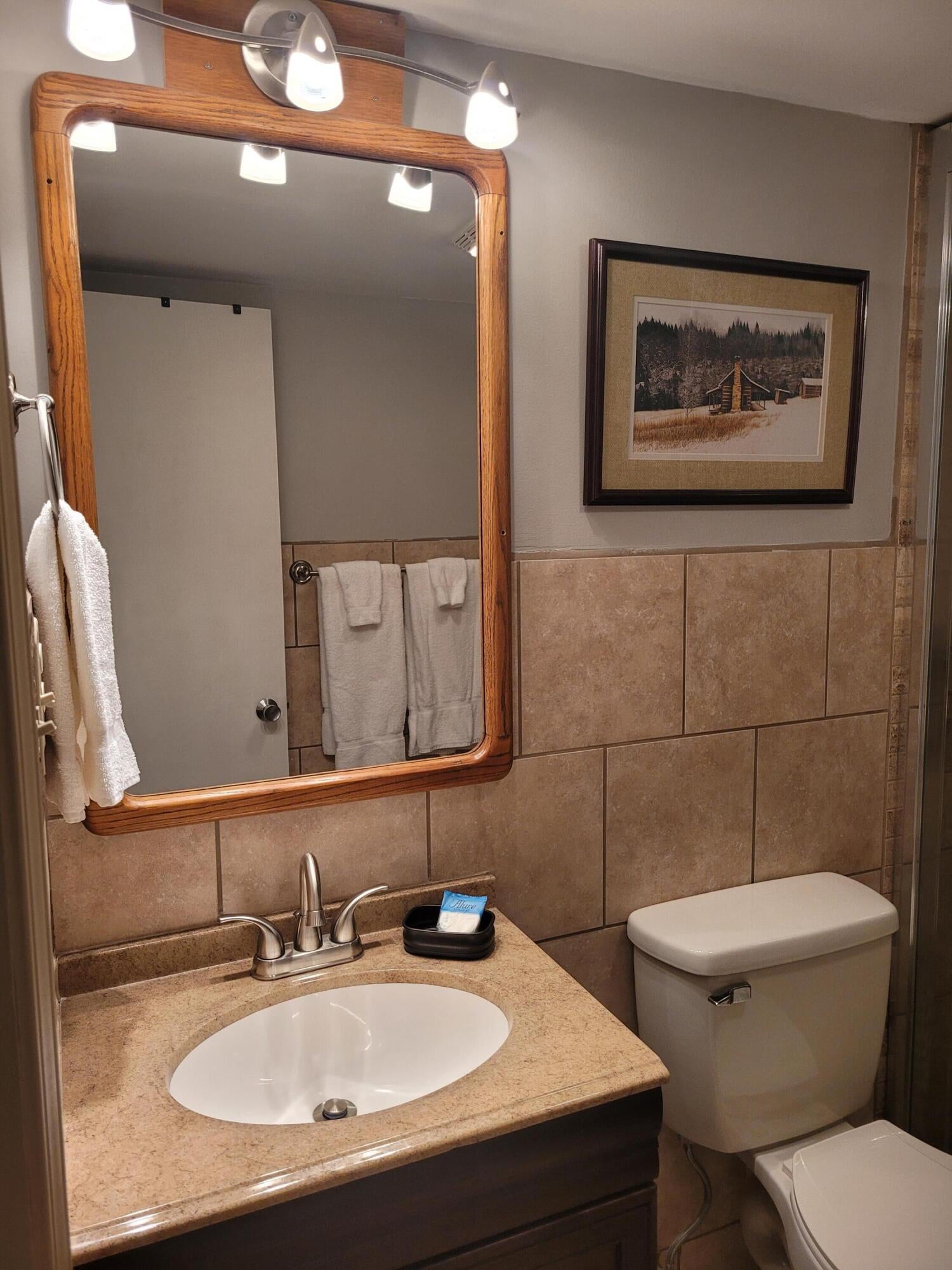 862 Silver Creek Road Snowshoe, WV 26209 - Photo 4 of 10 Gallery Image 4