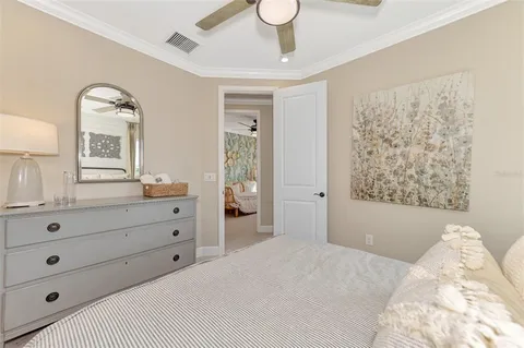 a view of a park with large trees