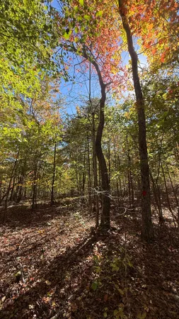 $70,434 | 0 Owl Hollow Road, Unit LOT 7, Palmer, TN 37365