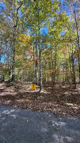 $70,434 | 0 Owl Hollow Road, Unit LOT 7, Palmer, TN 37365